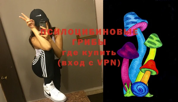 ECSTASY Вяземский