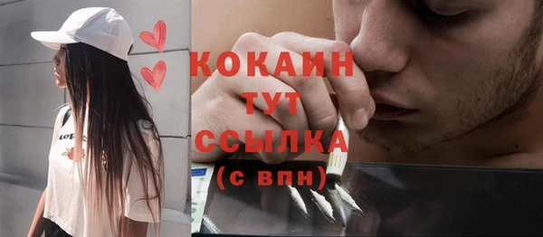 молекула духа Инсар