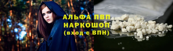 ECSTASY Вяземский