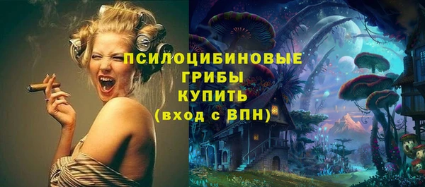 ECSTASY Вяземский