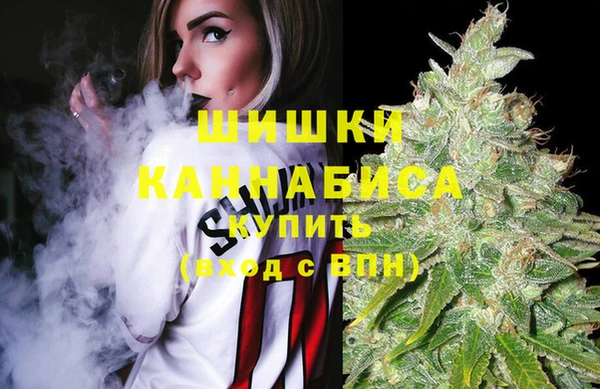 ECSTASY Вяземский