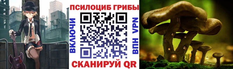 Псилоцибиновые грибы Magic Shrooms  Иннополис 